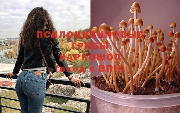 кокаин колумбия Щучье