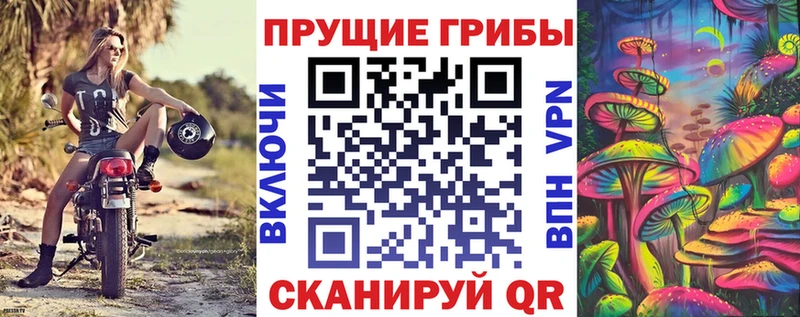 Псилоцибиновые грибы мицелий  Севастополь 