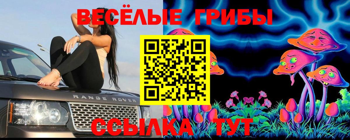 Севастополь  хочу наркоту  Вход с VPN  Галлюциногенные грибы Cubensis 
